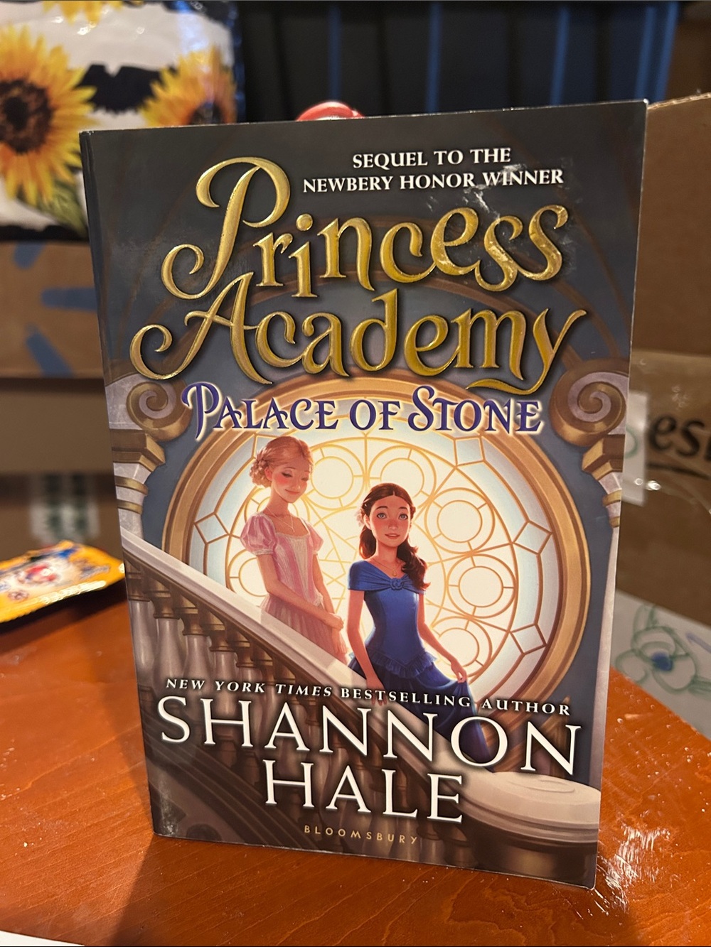 AGES 9-13 Princess Academy- Palace of Stone